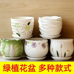 һ�����l�մɻ�����@�L����̨��͸�����ú����m�Gֲ���Ԍ��û���