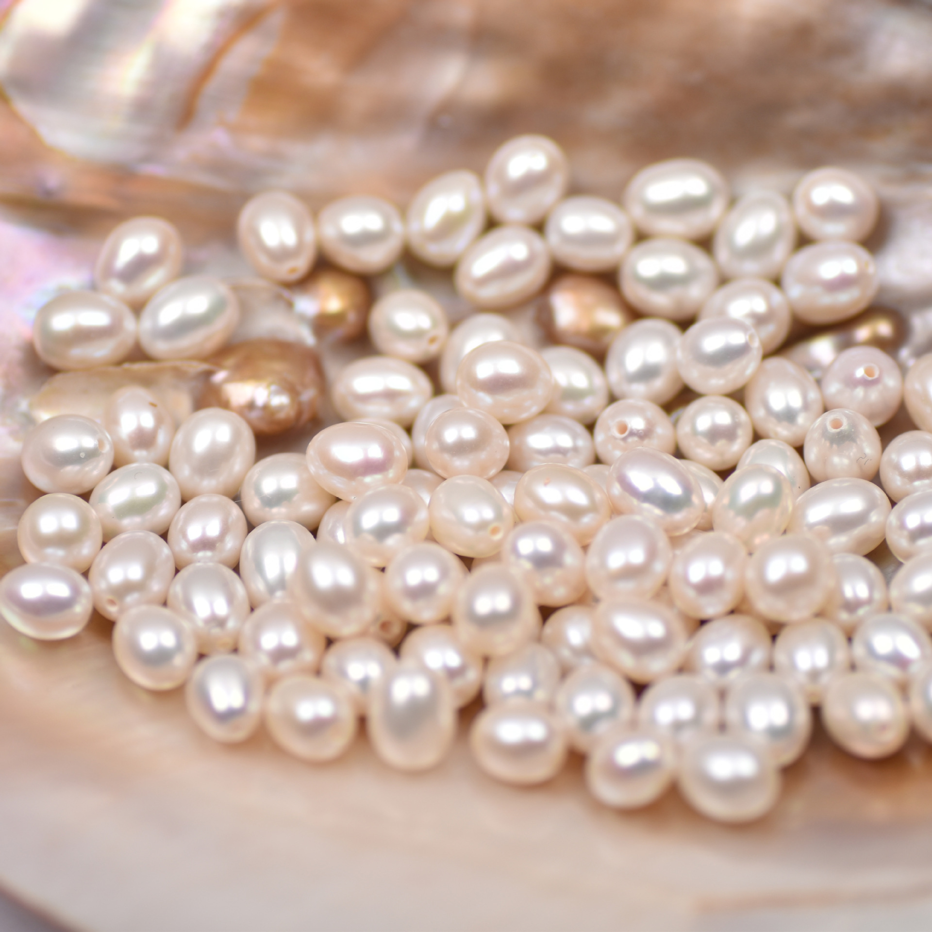 1 Piece Fashion Solid Color Freshwater Pearl Jewelry Accessories display picture 2