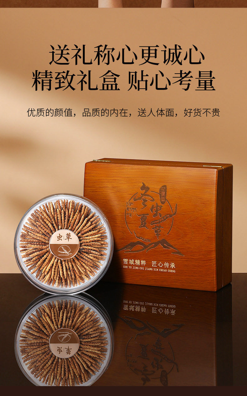 Premium Cordyceps Sinensis Gift Box 20g Wild-Harvested Qinghai Dong Chong Xia Cao key features