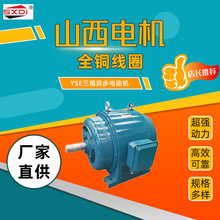 山西电机YSE系列三相异步电动机22KW30KW全铜线圈厂家直供