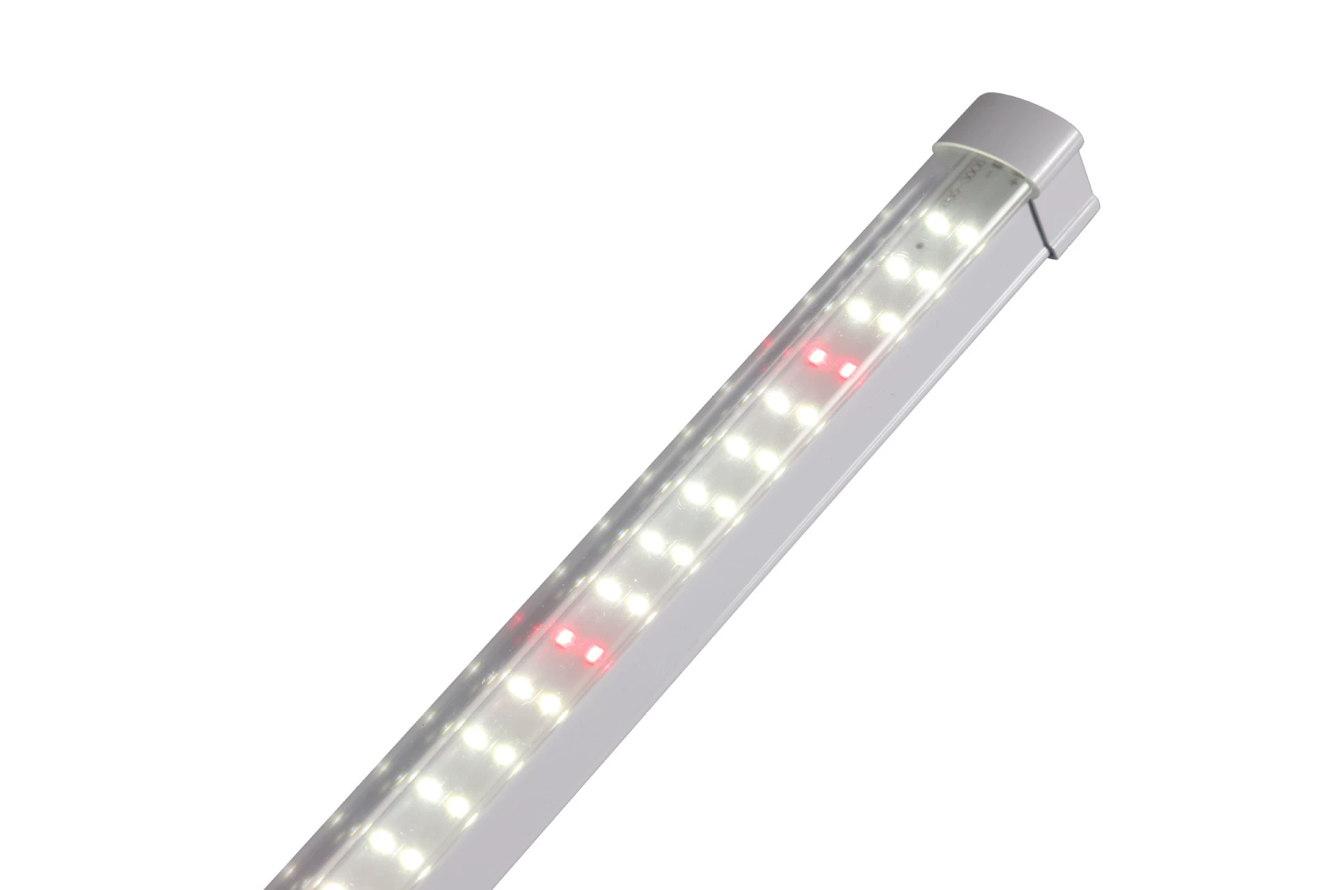 LED-лампа полного спектра для выращивания внутри помещения tissue culture овощей tissue culture растений коллоус водонепроницаемая лампа для роста растений фотосинтез