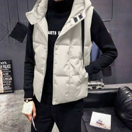 2025新款男马甲男时尚韩版秋冬坎肩无袖背心外穿棉潮立领连帽马夹