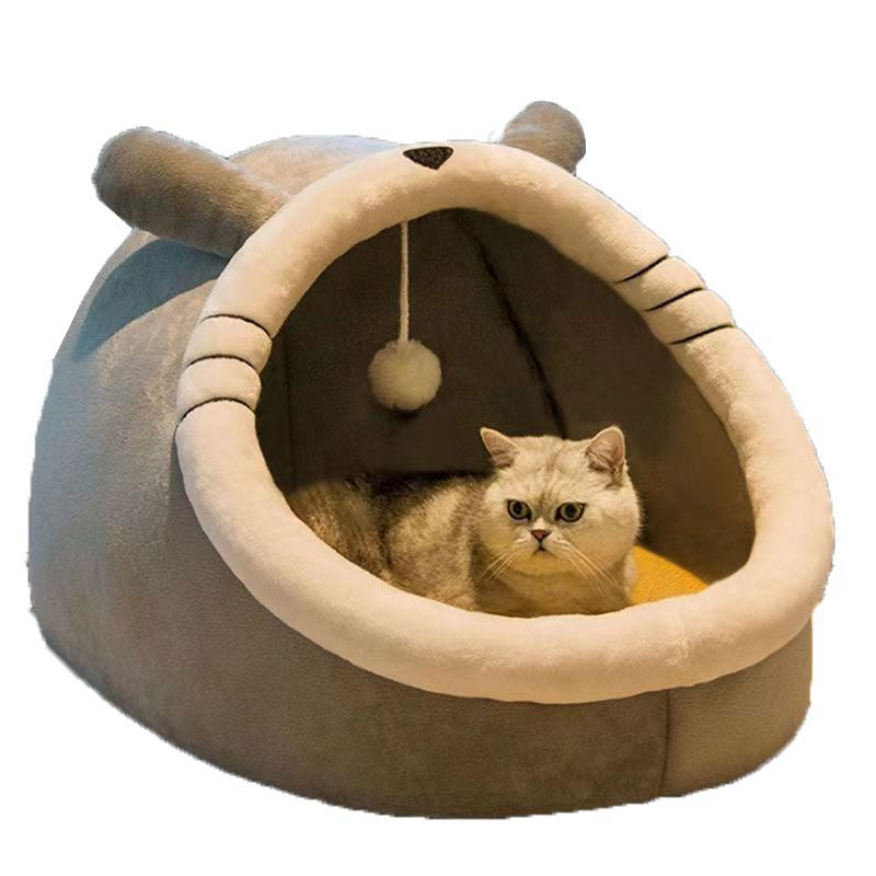 귀가 긴 고양이