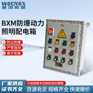 Bxm (D) Explosion-Proof Lighting Power Distribution Box Anti-Corrosion Ibextb Junction Box Aluminum Alloy Material