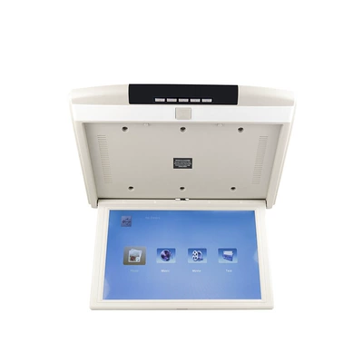 Mp5 Rear-Seat Entertainment Audio-Visual Display — Car display