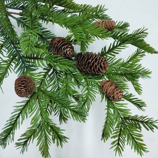 �����ɘ�֦������֦�ɘ������Q���ý������ܵ��߷��控���t��ɼ