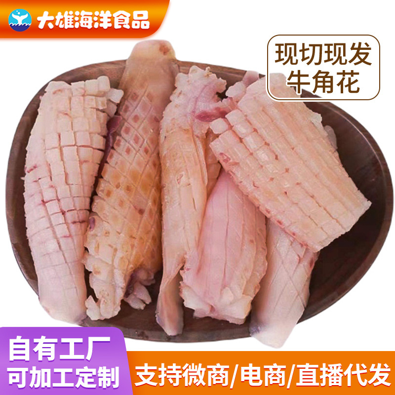 新鲜鱿鱼耳花捞汁牛角花无冰牛角花海鲜冷冻鱿鱼鲜冻火锅烧烤食材