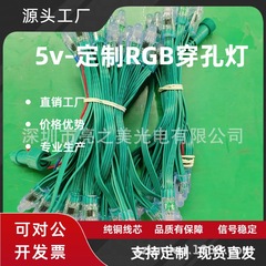 カスタム12mm注入防水LEDフルカラー露出ランプ5v 12v穿孔画素ランプクリスマス装飾屋外点灯