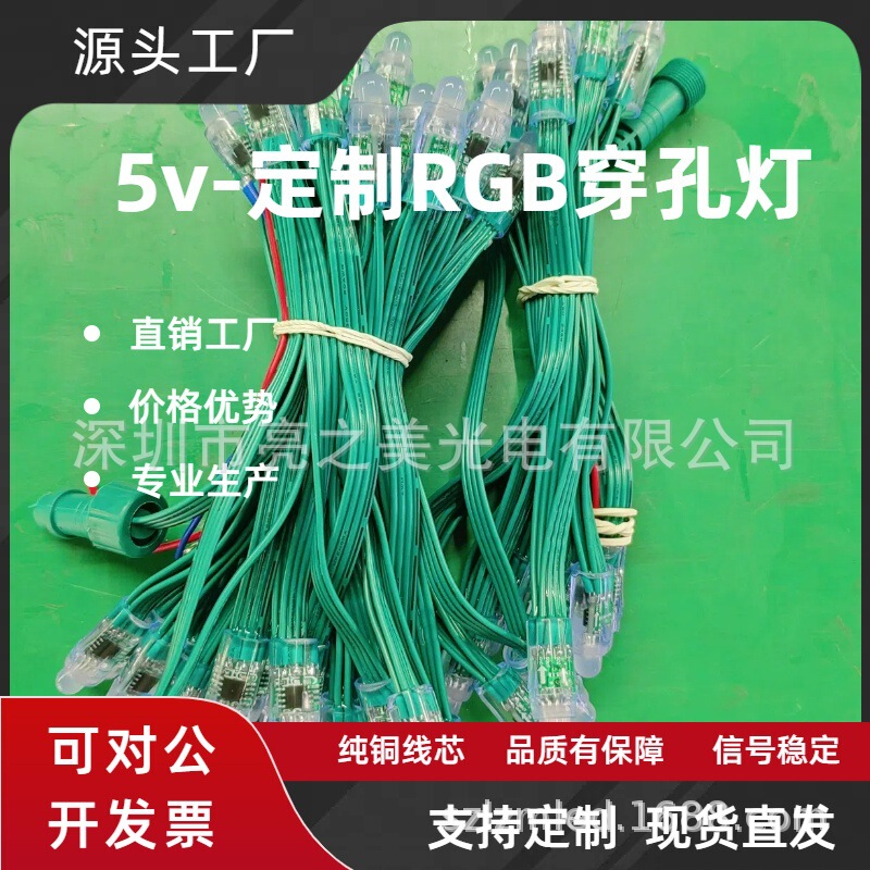 カスタム12mm注入防水LEDフルカラー露出ランプ5v 12v穿孔画素ランプクリスマス装飾屋外点灯|undefined