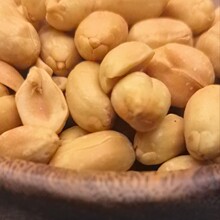 脱油果仁武柴煮 无皮脱油藤椒味花生米 花生坚果辣椒非油炸麻辣批