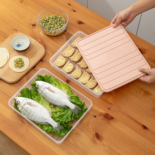 New dumpling refrigerator fresh-keeping storage box wonton noodles quick-cooling fresh-keeping box frozen dumpling box household storage box