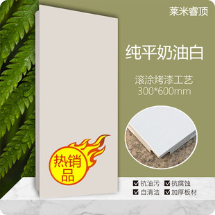 ���Ͱ�ů�׏N���l���g���⼃�׼��ɵ���X�۰�300&times;600ȫ�����l
