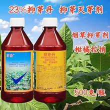 ���r��ѿ��23%��ѿ����������Ҹѿ���L��ѿ��ѿ�����ٿ��҄�