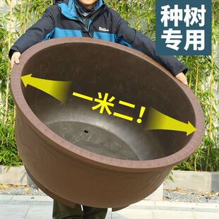 �@�֑���N�仨��ͥԺ�̨�ɻ���˯ɏ��ź���ڏ��Ӵ�Ӻ�������