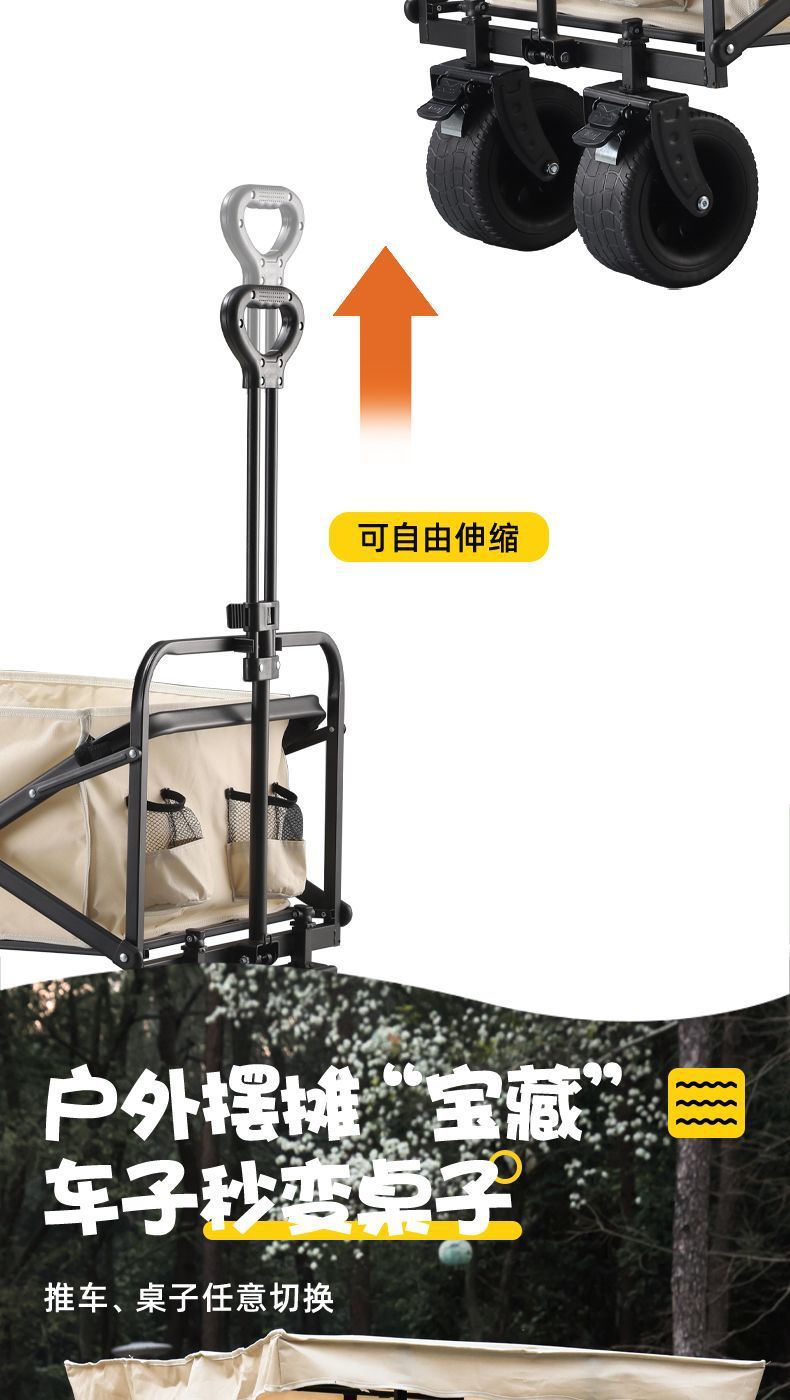 dd912477-b858-4062-8cce-74540a34a1d4.jpe