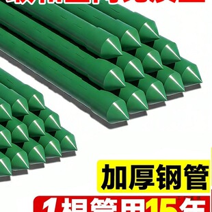 ���ټ������S�϶��Ǽ��¼�ֲ�ﻨ��֧�ΗU�@ˇ����䓹����t��֧��