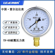厂家销售雷尔达YN-60耐震压力表真空表抗震液压油压表1 1.6 40MPA