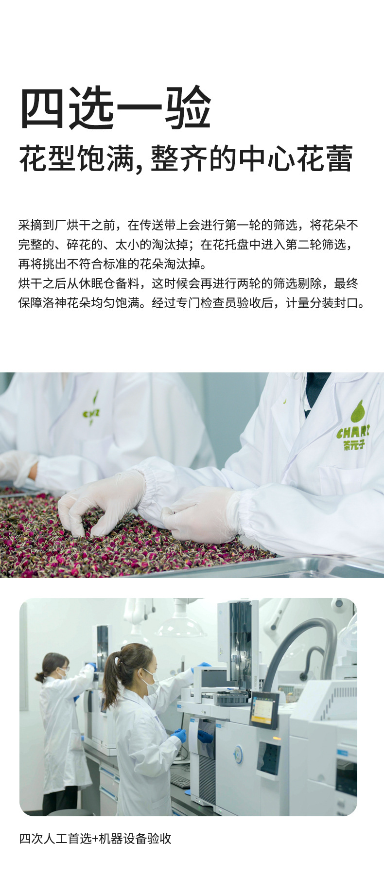 Dried Roselle Hibiscus Tea Luo Shen Hua Large Whole Flowers 120g Canister Herbal Infusion in use