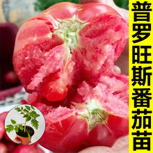 ���_��˹���t���������ɳȿ��ۼ޽ӷ�����Ʒ�Nɽ�|�۹��ݮެ��