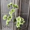 Wong wood flower green