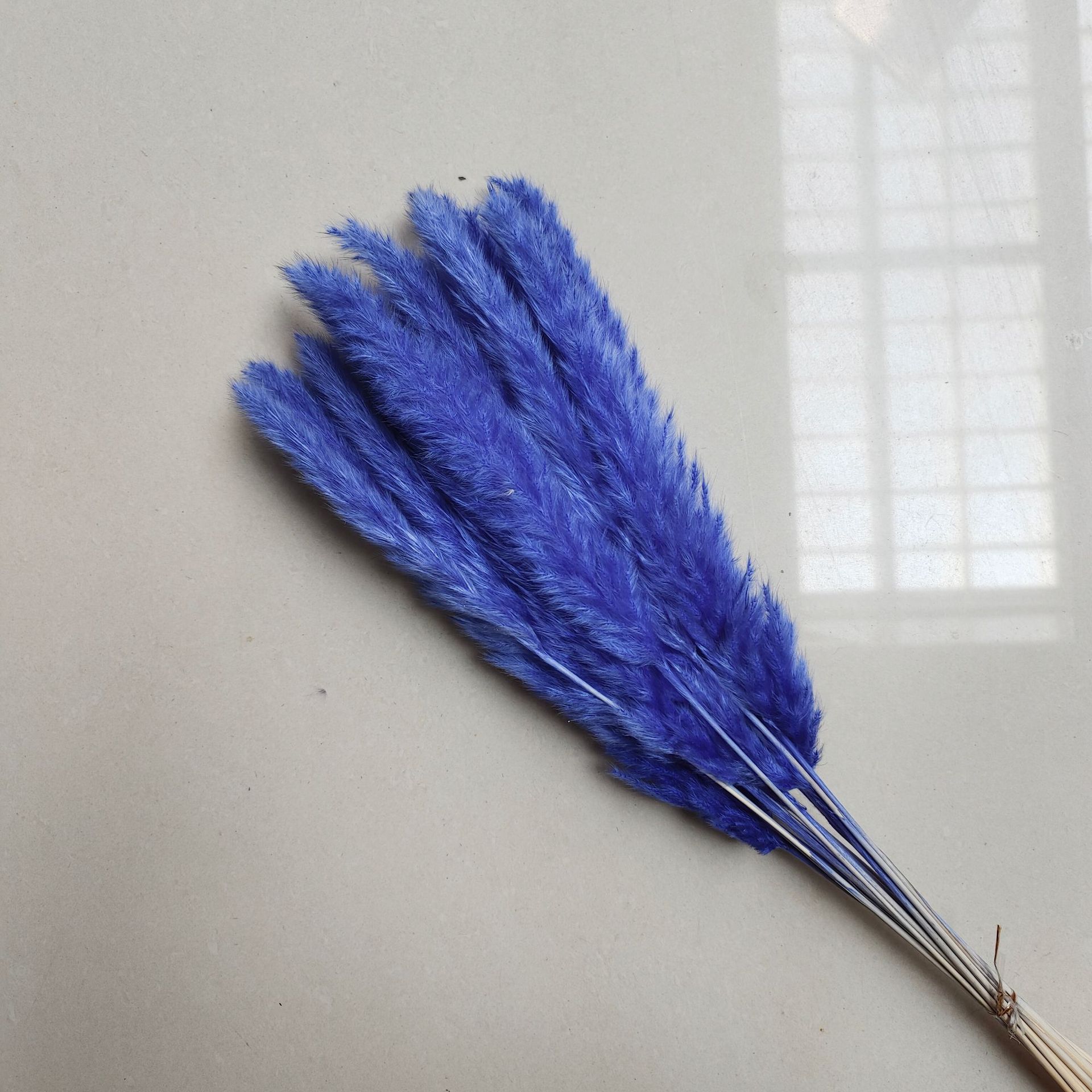 진한 파란색 가지 15개