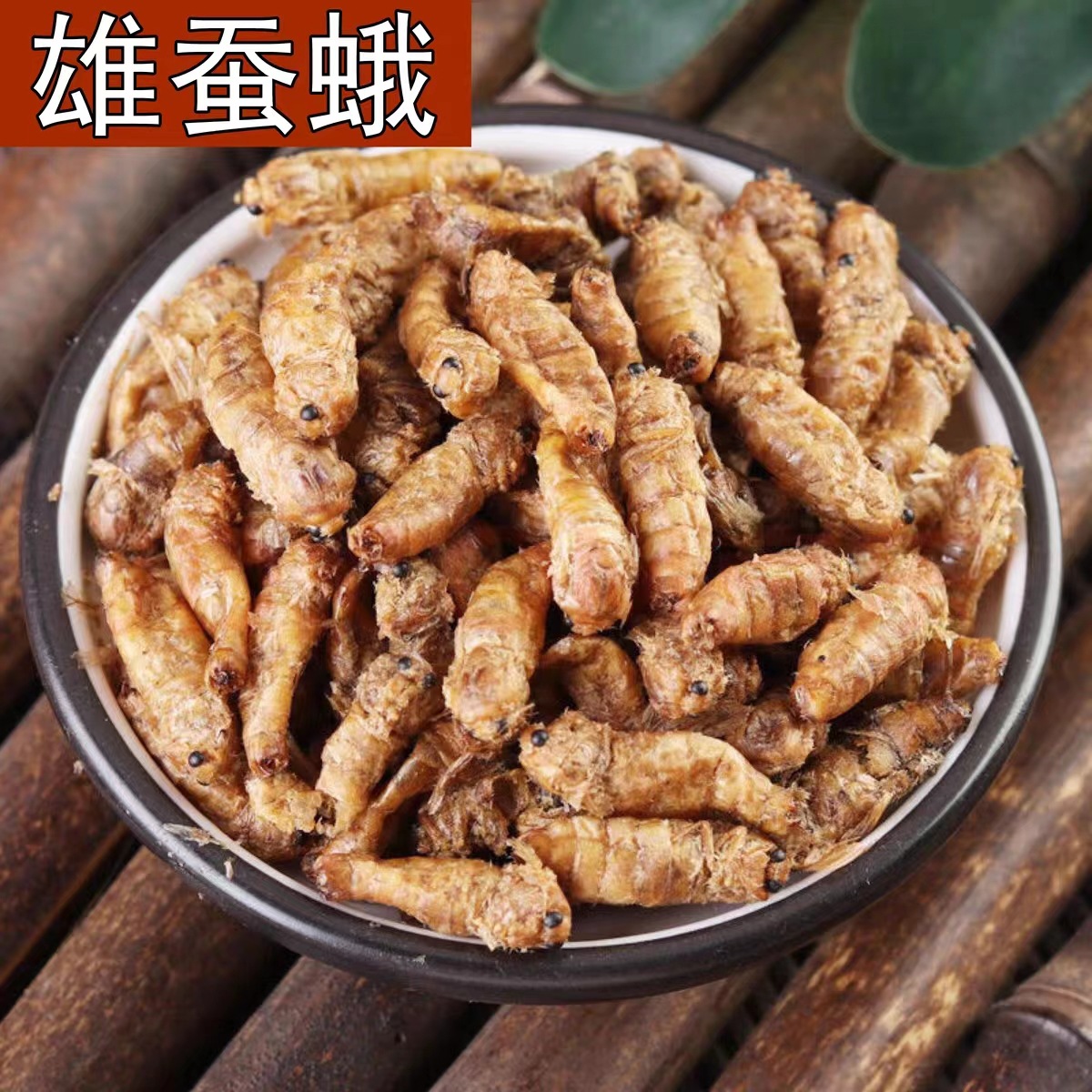 Male Silkworm Moth (Bombyx mori) — Dried Whole Male Moth for Traditional Herbal Infusions overview