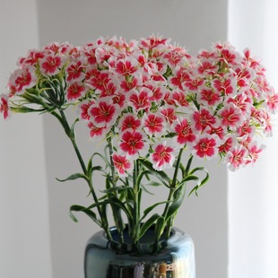 �¿���滨Сʯ�� ����ܰ ��c��Y�ñ����c�Y�b廨