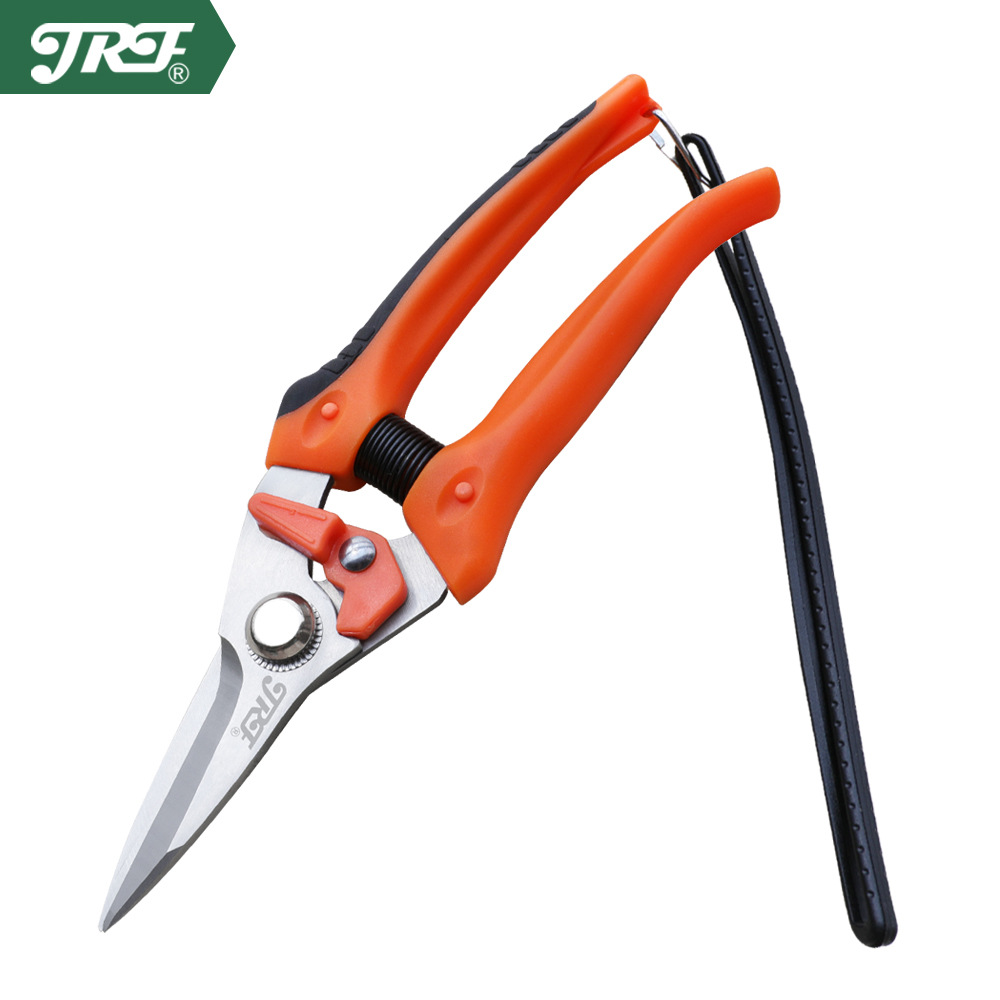剪枝果树修枝剪刀园艺修剪树枝园林花艺师剪花专用剪刀