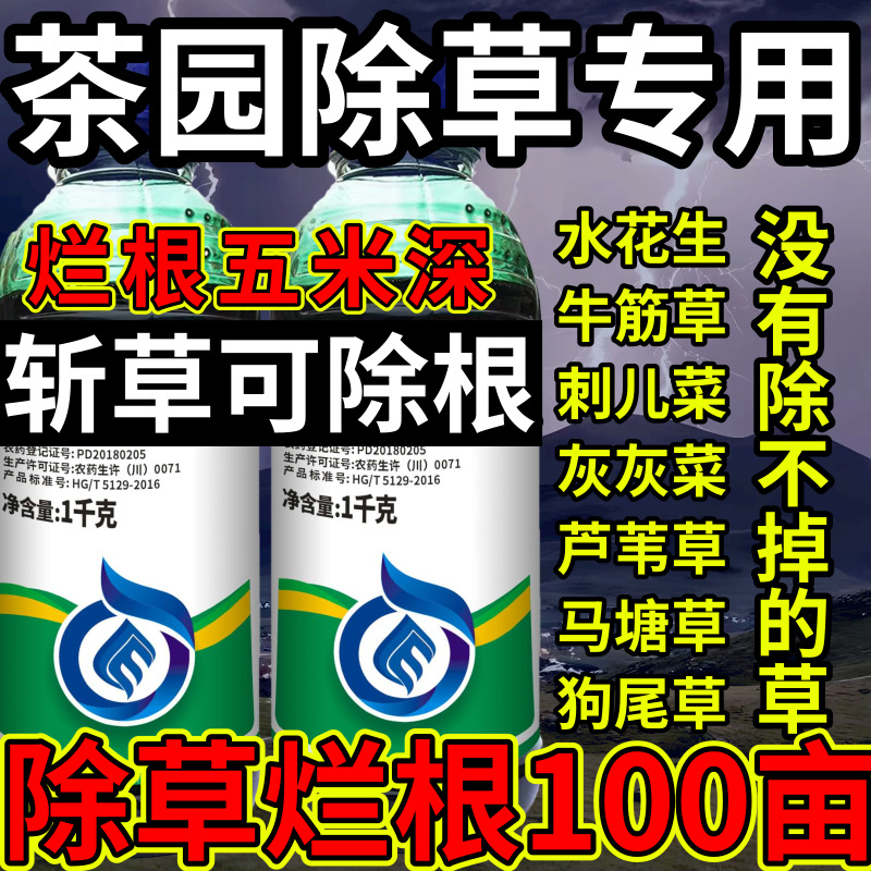 茶园除草专用高浓度精草铵膦铵盐水花生斩草除根杂草烂根除草剂