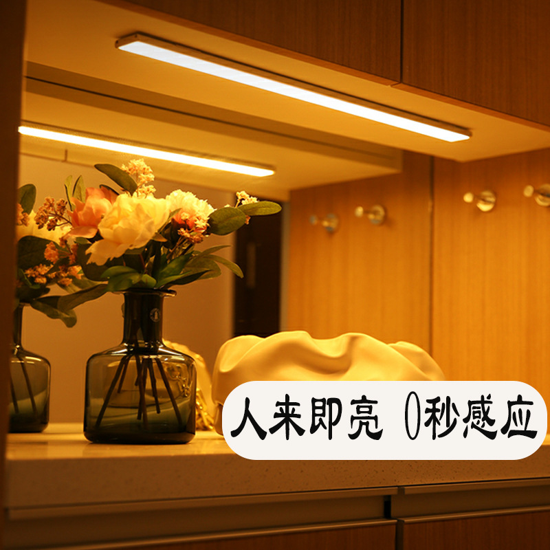 Zhongshan lamps smart led strip magnetic suction rechargeable cabinet wine cabinet wardrobe induction self-adhesive light strip