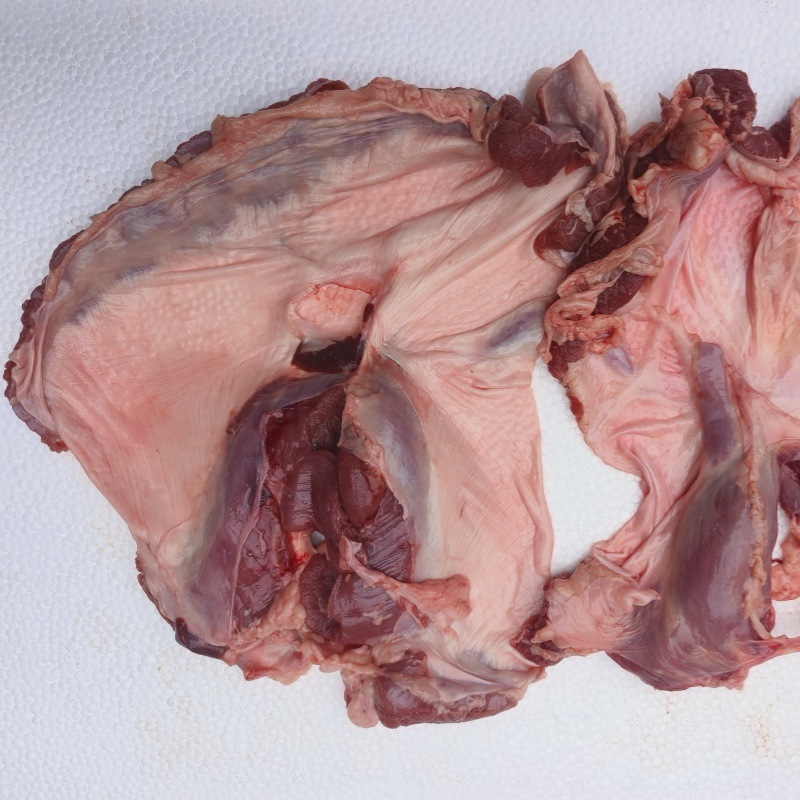 批发猪护心肉一整片带筋膜烧烤大油边鲜冻猪油边猪横膈膜罗隔肉