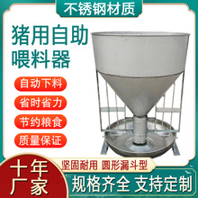 猪槽干湿喂料器自动下料器猪食槽小猪料槽猪料槽育肥料槽养猪设备