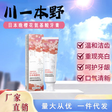 日本海盐小苏打牙膏清新口气亮白护龈薄荷柠檬春日花园黑人牙膏