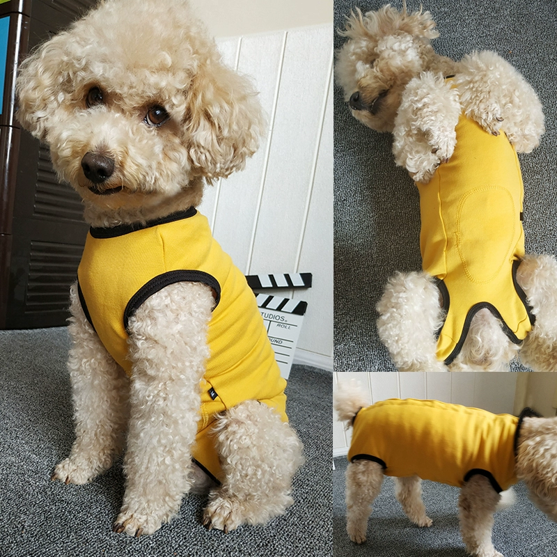 Весенняя одежда для собак Тедди, защита живота, жилет, жилет, жилет для суки после отлучения от груди