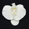 White, big, 11.5cm
