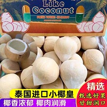 ̩��ţ��Ҭ�����r�M��СҬ��ˮ��С��Ҭ��ˮҬ��Ҭ������Ҭ֭�ЋD