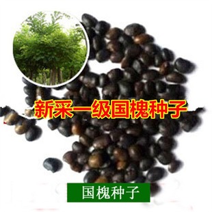 �²����������N�Ӵ̻���N����ץ���S�����t�������̾G����ľ�N��