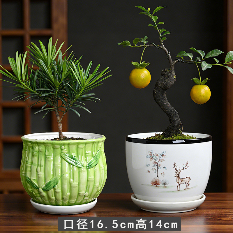 Kw+2 small bamboo trees
