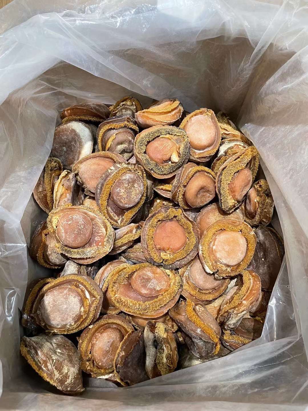 31aa495deb8ea9d71fe5ff36a6a243