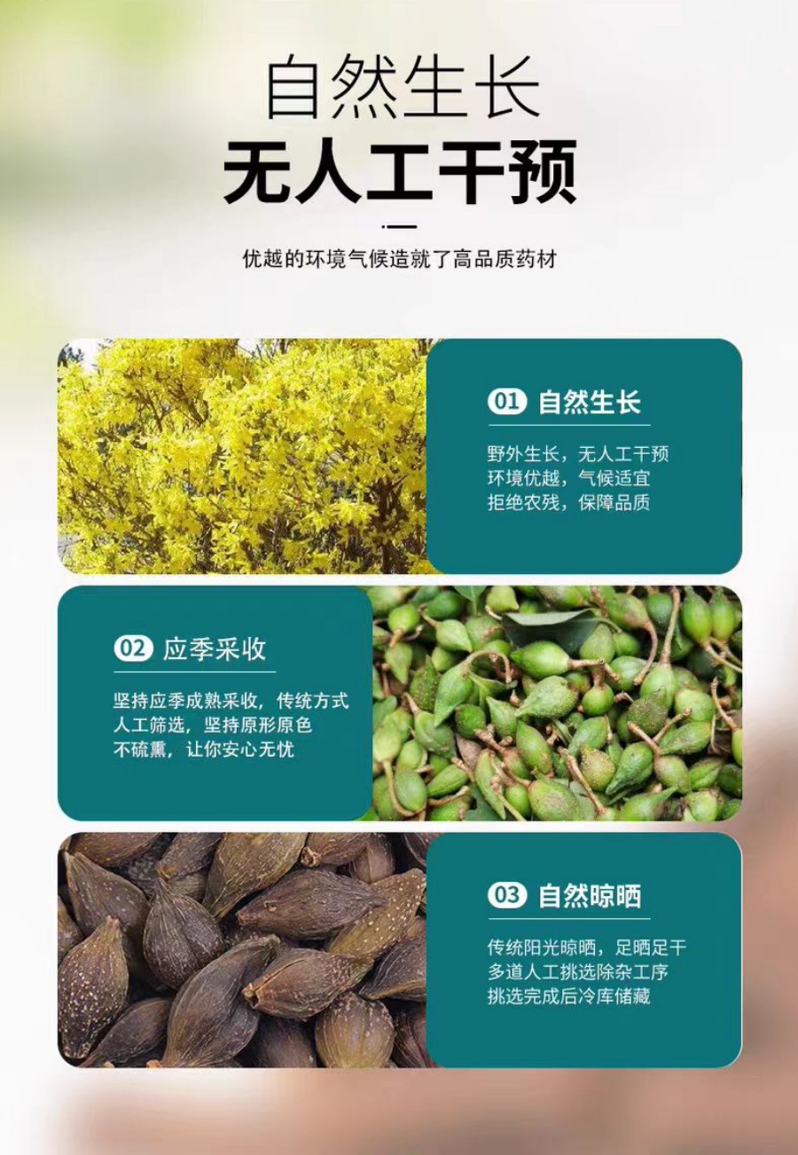 Lian Qiao Powder (Forsythia suspensa) — Dried Food Herb for Tea & Daily Wellness overview