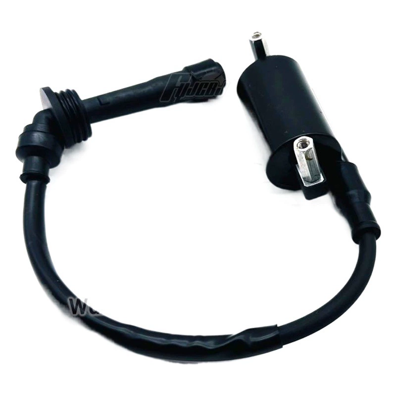 Бенали маленький Хуанлун BJ250-15 Катушка зажигания высоковольтного пакета TNT25