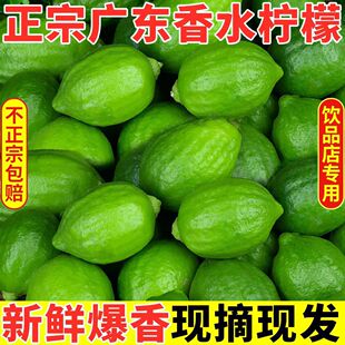 �Fժ���r�V�|������ˮ���ʝ���o��һ������̲�ꌣ�������ʴ��l