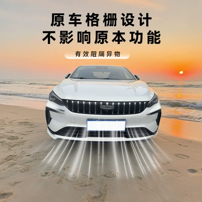 anti-mosquito and lint-specific accessory, Automobile anti-insect net