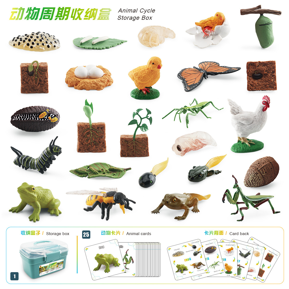 Simulación transfronteriza planta mariposa abeja Gallo Mantis Rana modelo animal y planta crecimiento ciclo caja de almacenamiento traje