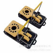 SֱA¿Aϴ̖AӜ󹤾