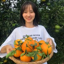 ���ڐ���28̖ ��ɽ�t���ː���38 ��ƽ�̽�������޽ӽ��Ә��玧��