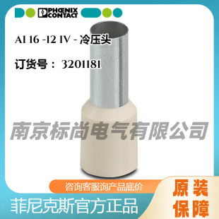 �����˹�䉺�^AI 16 -12 IV-3201181�F؛�������~��������ɫ