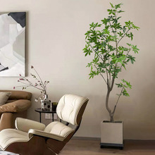 �S�����l����ľ�޻��� ��ľ�ޘ� չ�d��̨���߼Ҿӷ���ֲ��٘�