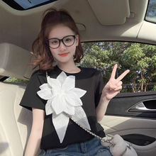 ɫ߼ЕrTŮļ2025¿wɫ@ݶ