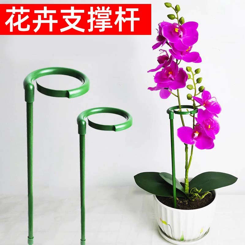 Растительный опорный стержень красный фаленопсис цветы восхождение на лозу фиксированная полка анти-полка стойка стойки опоры для крепления артефакт